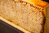 Raw Acacia Honeycomb Frame 1750g